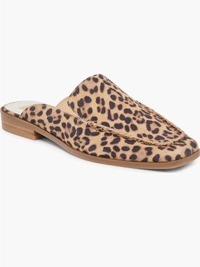 NEW Dolce Vita Brevyn Mule in Leopard Suede